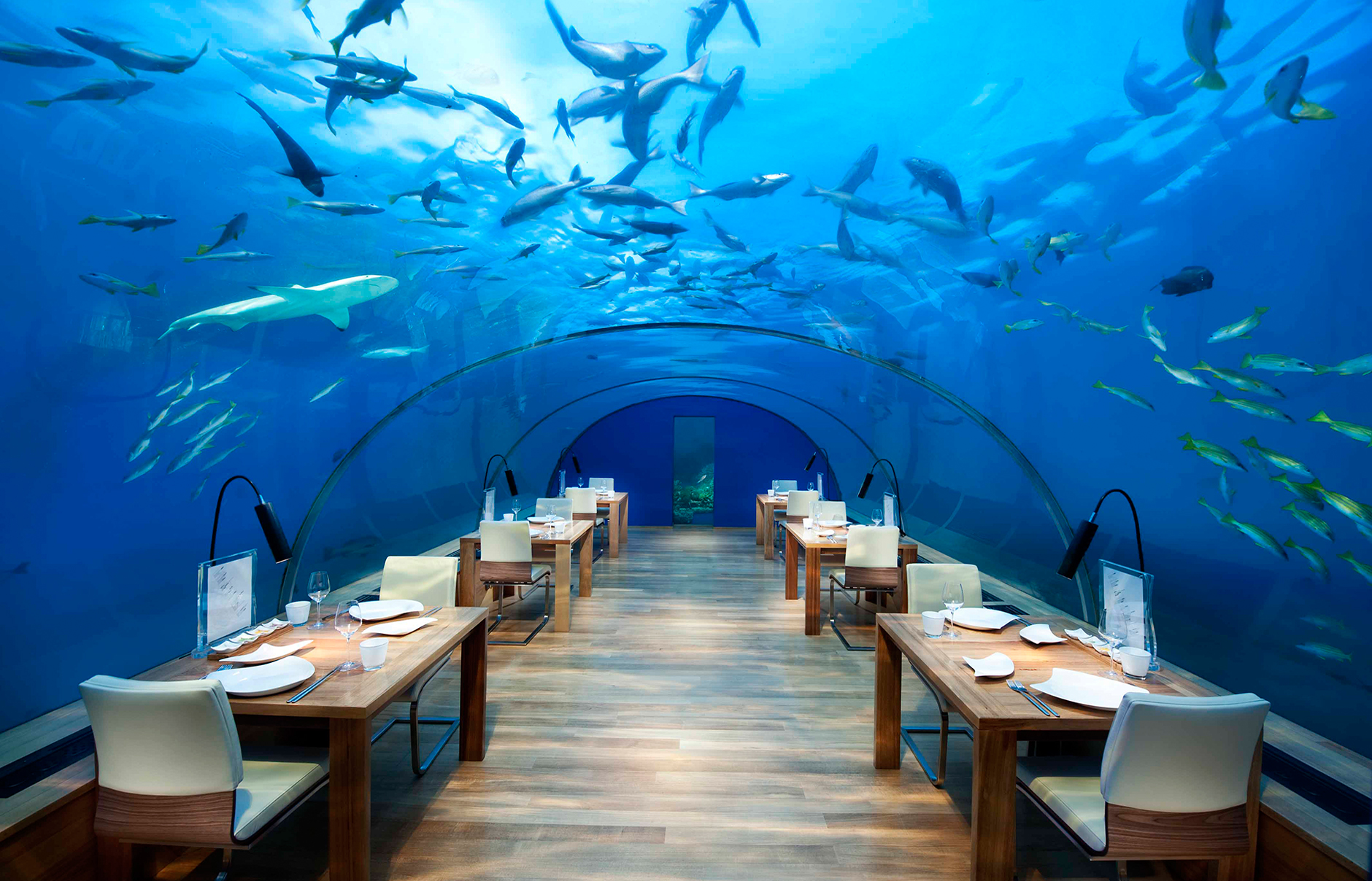 Hotel Jules Undersea Lodge Florida